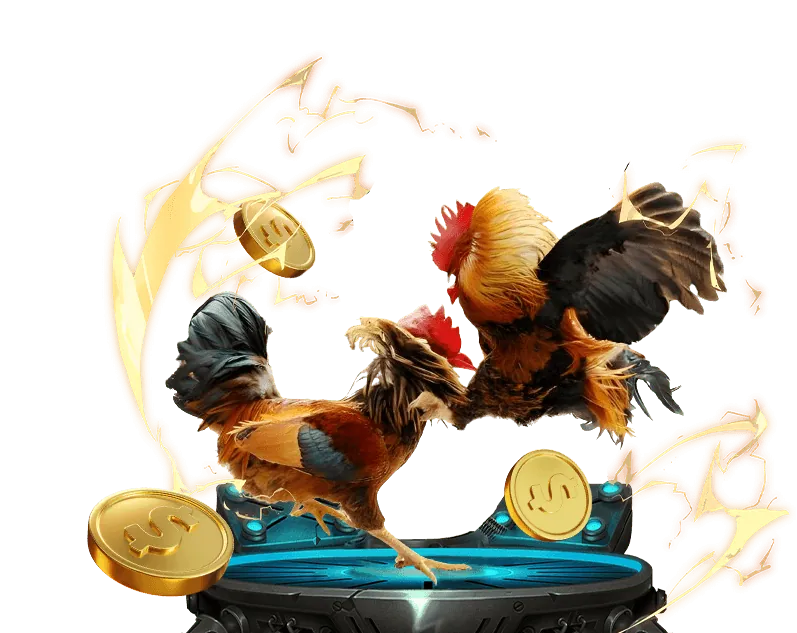 Lịch sử đá gà Việt Nam